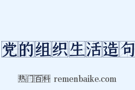 党的组织生活造句是什么意思的图片